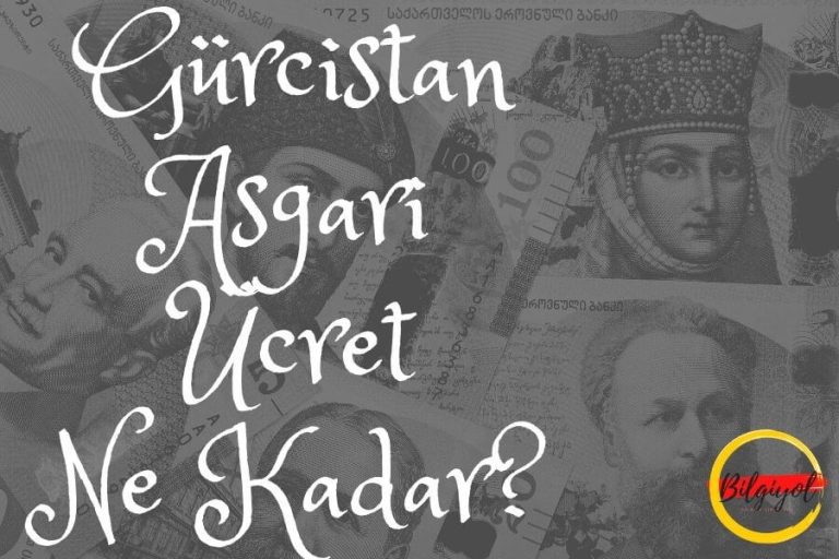 Gürcistan Asgari Ücret