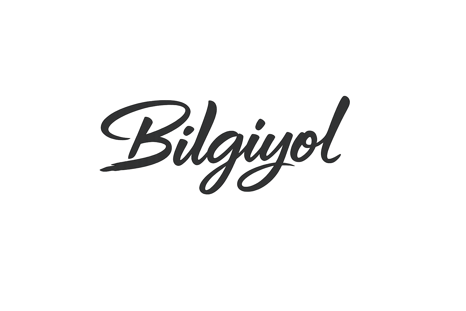 Bilgiyol