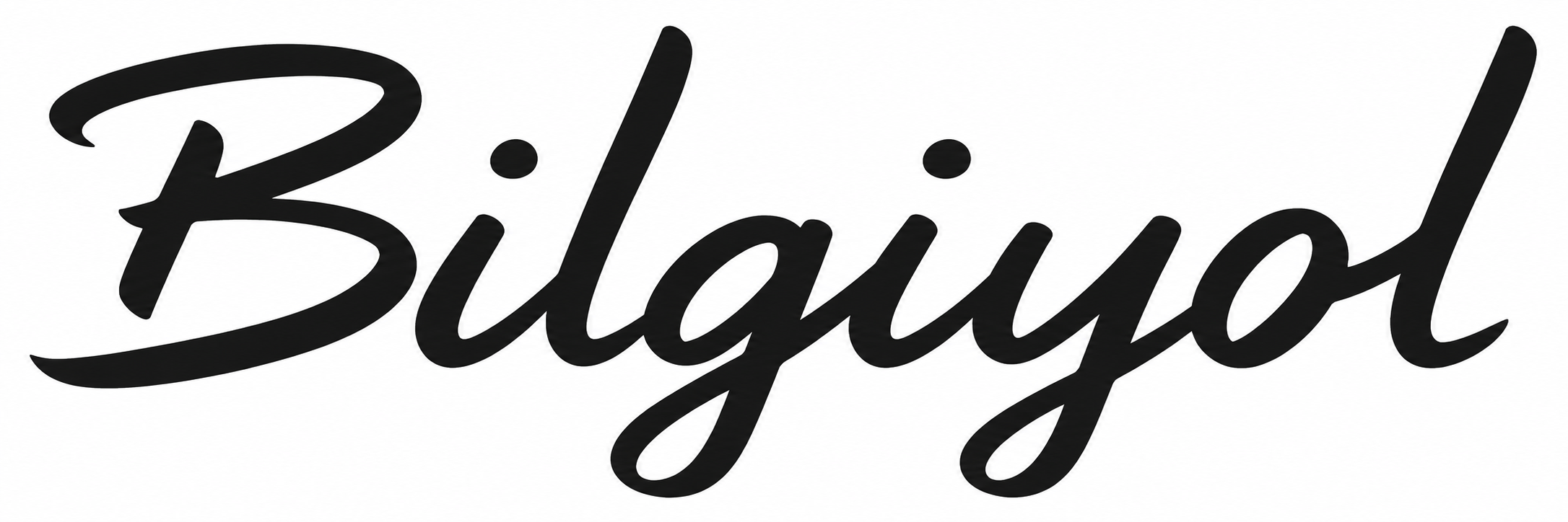 Bilgiyol
